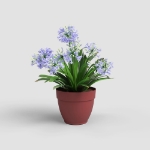 Image de POT CAPRI CAMPANA 25CM ROUGE FONCÉ