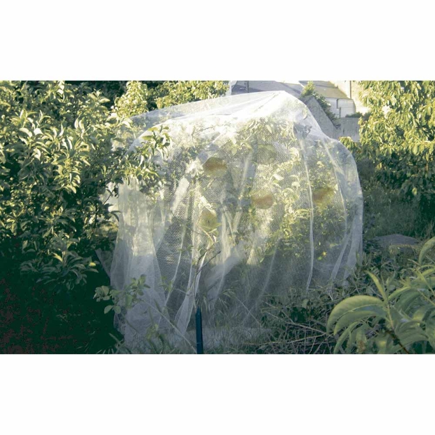 Image de PROTECFRUIT 5,20x5m