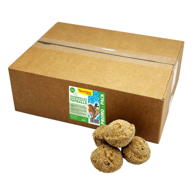 Image de Boules de graisse 50 pc dans boît sans filet pour oiseaux du ciel