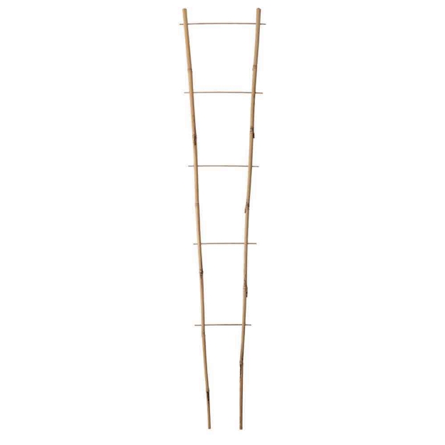Image de Tuteur echelle bambou Naturel