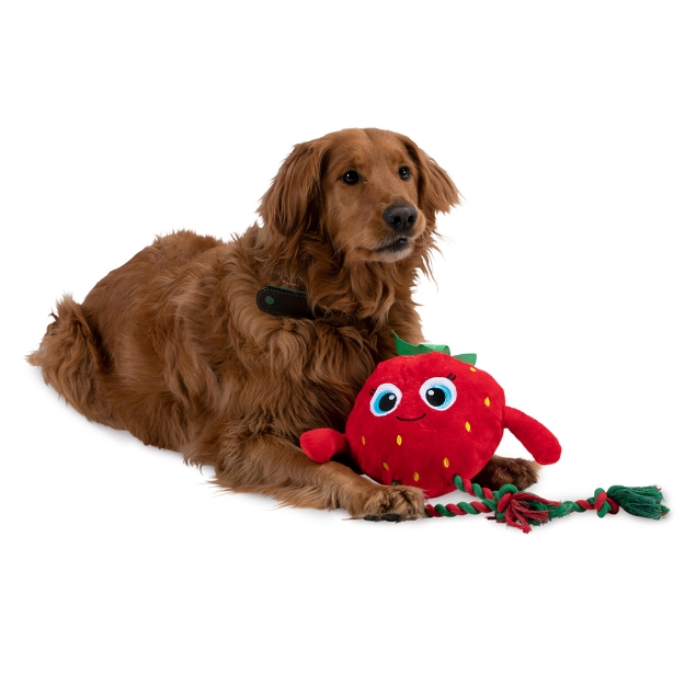 Image de Jouet pour chien fruit 3