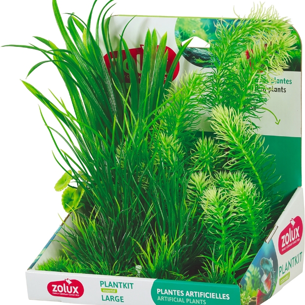 Image de PLANTKIT LARGE N 3