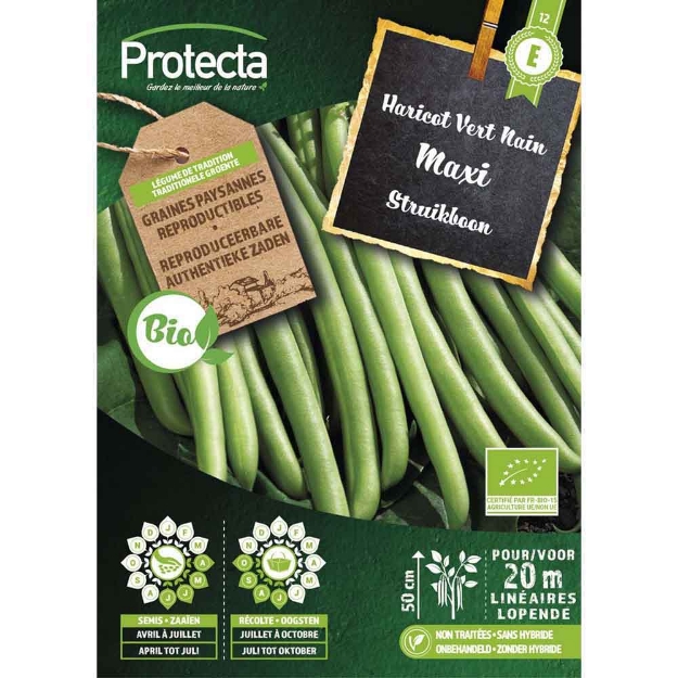 Image de Graines haricot vert nain maxi fr-bio-15