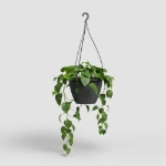 Image de POT ALGARVE SUSPENSION 25CM ANTHRACITE