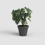 Image de POT CAPRI 50CM ANTHRACITE