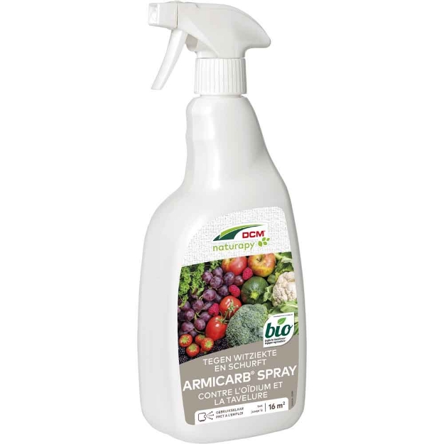 Image de Spray armicarb 1L DCM
