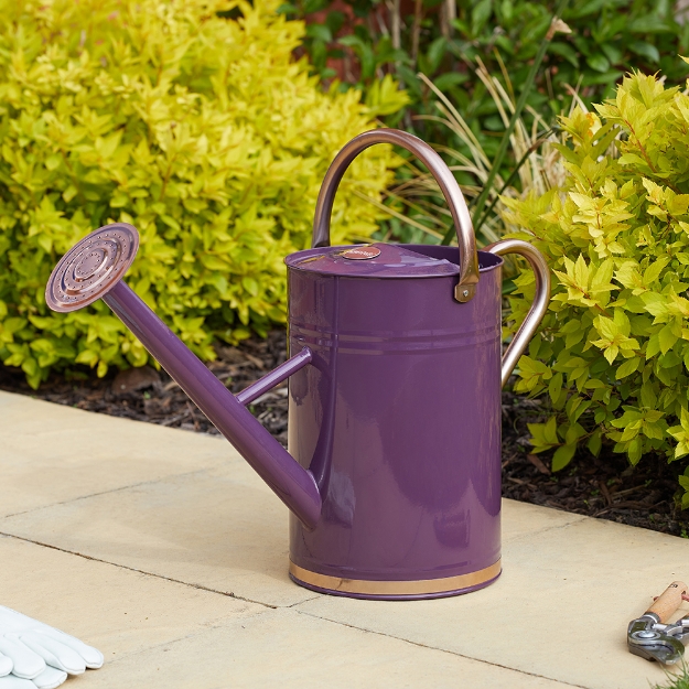 Image de Arrosoir métal   – Violet 4.5L