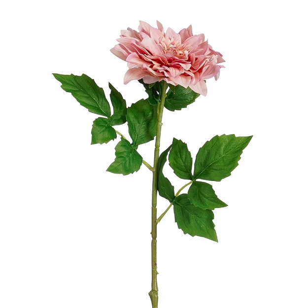 Image de Dahlia rose real touch - Mica