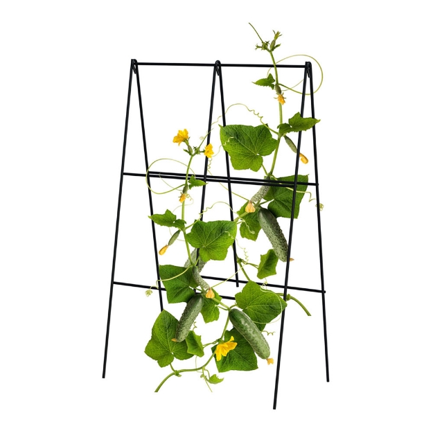 Image de double treillis plantes grimpantes, h 100 x 30 cm, noir