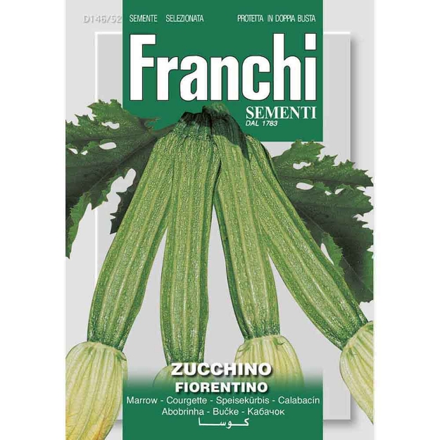 Image de Graines courgette zucchino lungo fiorentino - Franchi