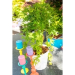 Image de Acer palm. 'Ryusen' (PBR)