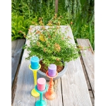 Image de Acer palm. 'Little Princess'