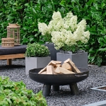 Image de Hydrangea pan. 'Magical Matterhorn' (PBR)