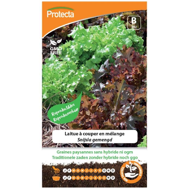 Image de Graines de laitue à couper en mélange - Protecta