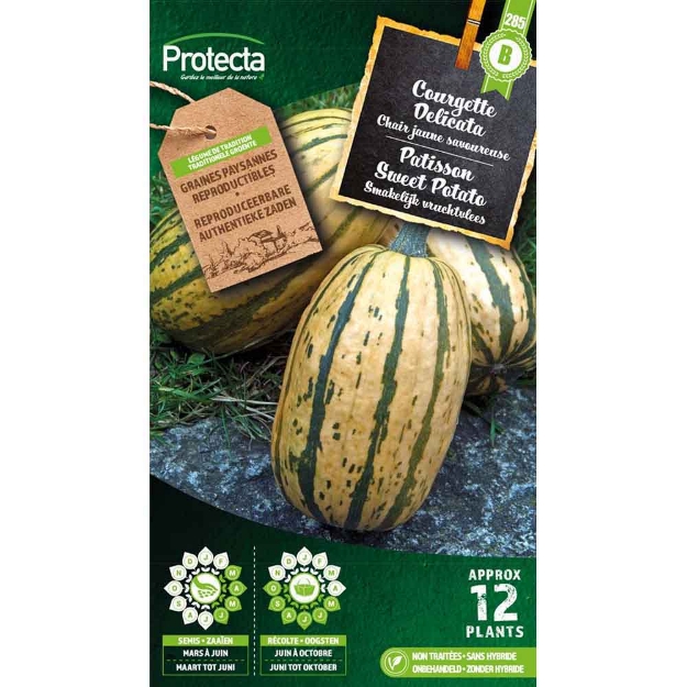 Image de Graines courgette delicata