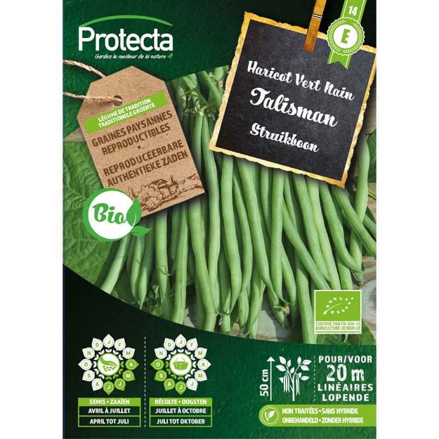 Image de Graines haricot vert nain talisman fr-bio-15