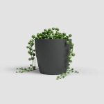 Image de POT SAN REMO MATE 9CM ANTHRACITE