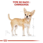 Image de BHN Chihuahua Adult 500g