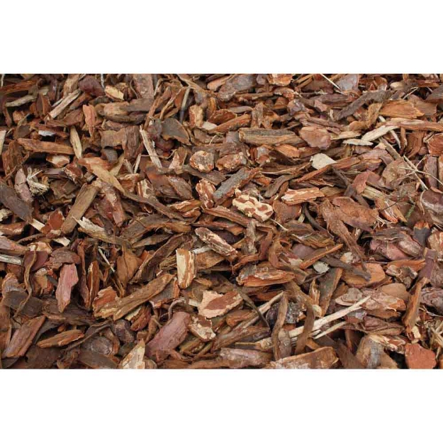 Image de Pin sylvestre 60L (20-40MM)