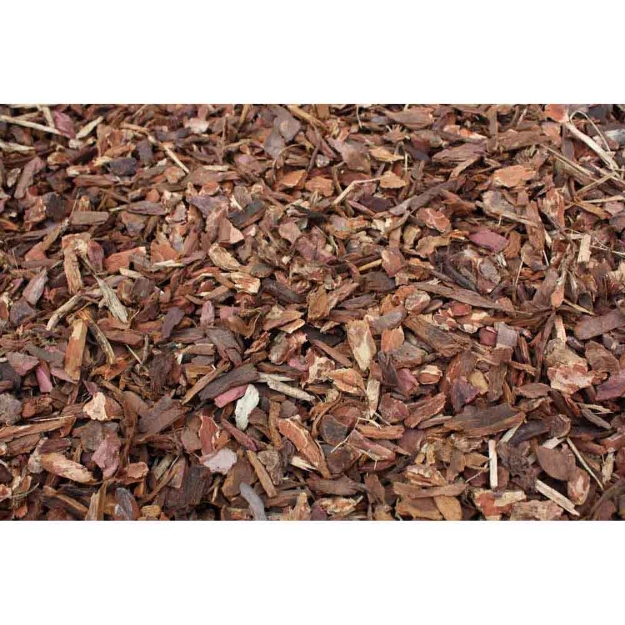 Image de Pin sylvestre 60L (10-25MM)