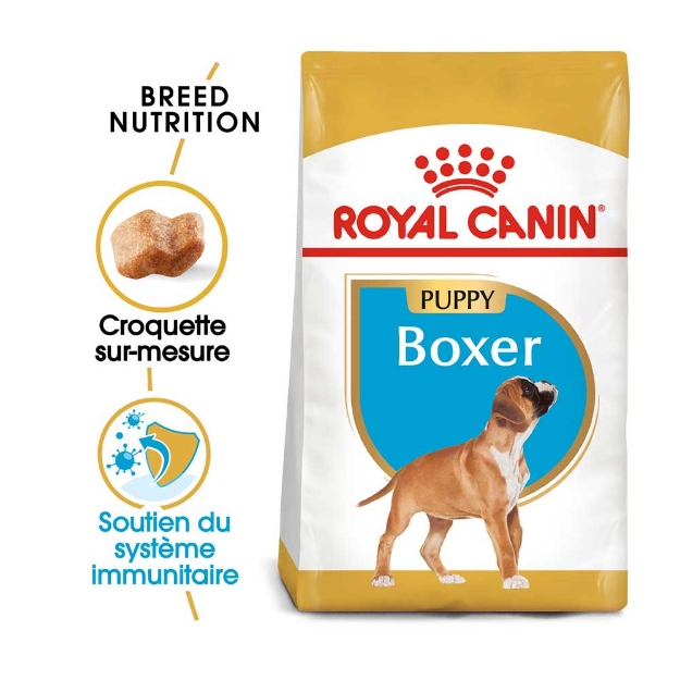 Image de BHN Boxer Puppy 3kg