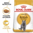 Image de FBN British Shorthair 4kg