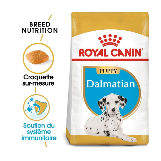 Image de BHN Dalmatian Puppy 12kg