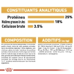 Image de BHN Dalmatian Puppy 12kg