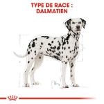 Image de BHN Dalmatian Adult 12kg
