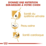 Image de BHN Dalmatian Adult 12kg