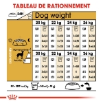 Image de BHN Dalmatian Adult 12kg