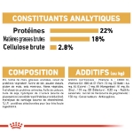 Image de BHN Dalmatian Adult 12kg