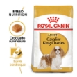 Image de BHN Cavalier KC Adult 7,5kg