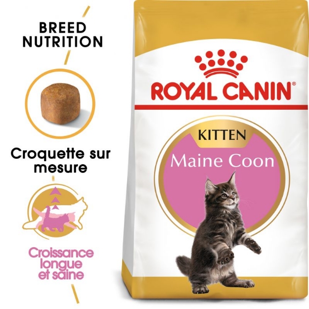 Image de FBN Maine Coon Kitten 4kg