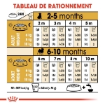 Image de BHN Pug Puppy 1,5kg