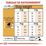 Image de BHN Pug Adult 3kg