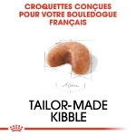 Image de BHN French Bulldog Puppy 3kg