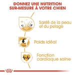 Image de BHN Cocker Adult 12kg