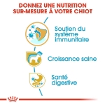 Image de BHN Jack Russell Puppy 3kg