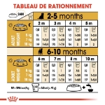 Image de BHN Jack Russell Puppy 3kg