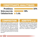 Image de BHN Jack Russell Puppy 3kg