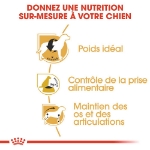 Image de BHN Beagle Adult 3kg