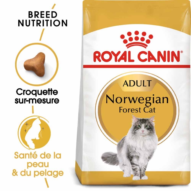 Image de FBN Norwegian Forest Cat 10kg