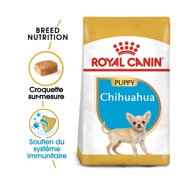 Image de BHN Chihuahua Puppy 1,5kg
