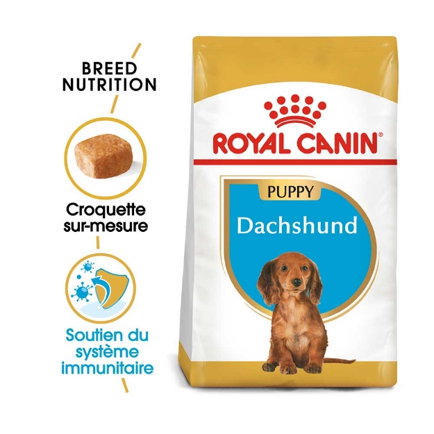 Image de BHN Dachshund Puppy 1,5kg