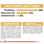 Image de BHN Dachshund Puppy 1,5kg