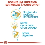 Image de BHN Shih Tzu Puppy 1,5kg