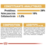 Image de BHN Shih Tzu Puppy 1,5kg