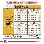 Image de BHN Dachshund Adult 1,5kg