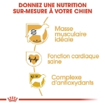 Image de BHN Boxer Adult 3kg